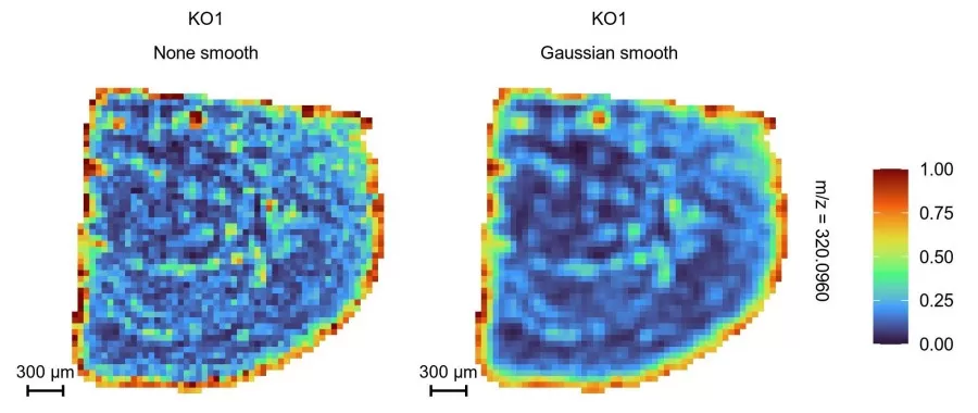 Metabolite spatial distribution